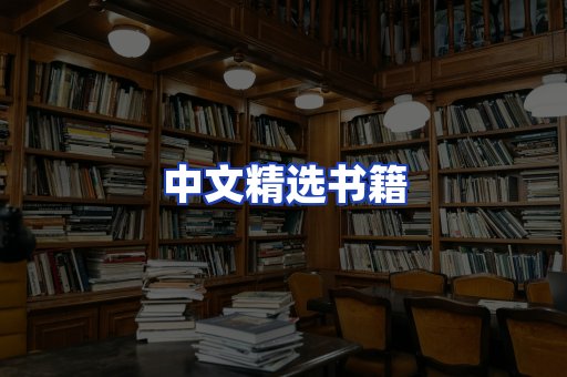 中文精选书籍